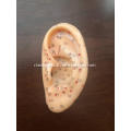 /msite/products/detail/productid/56386186/id/186332.html
